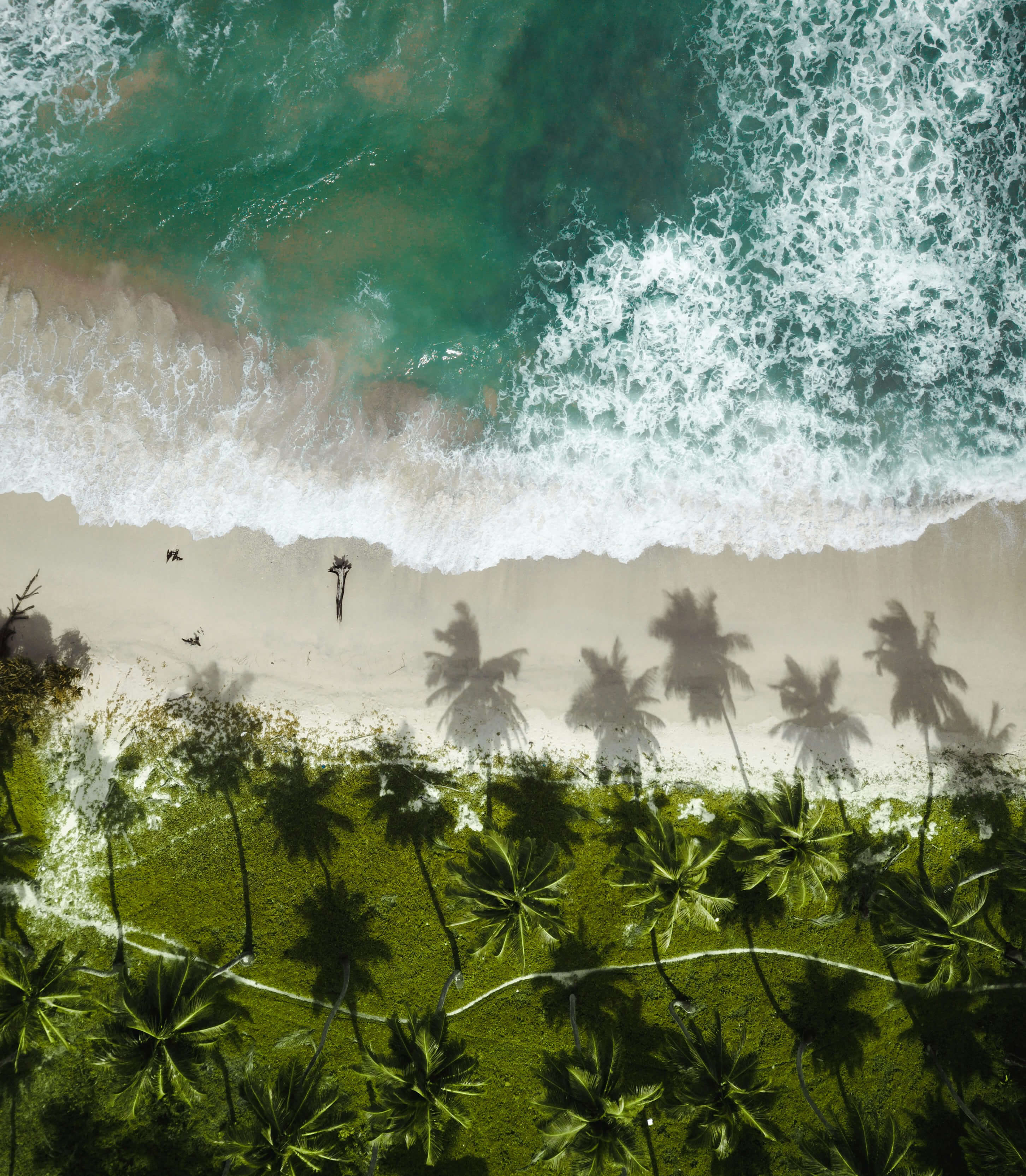destination image