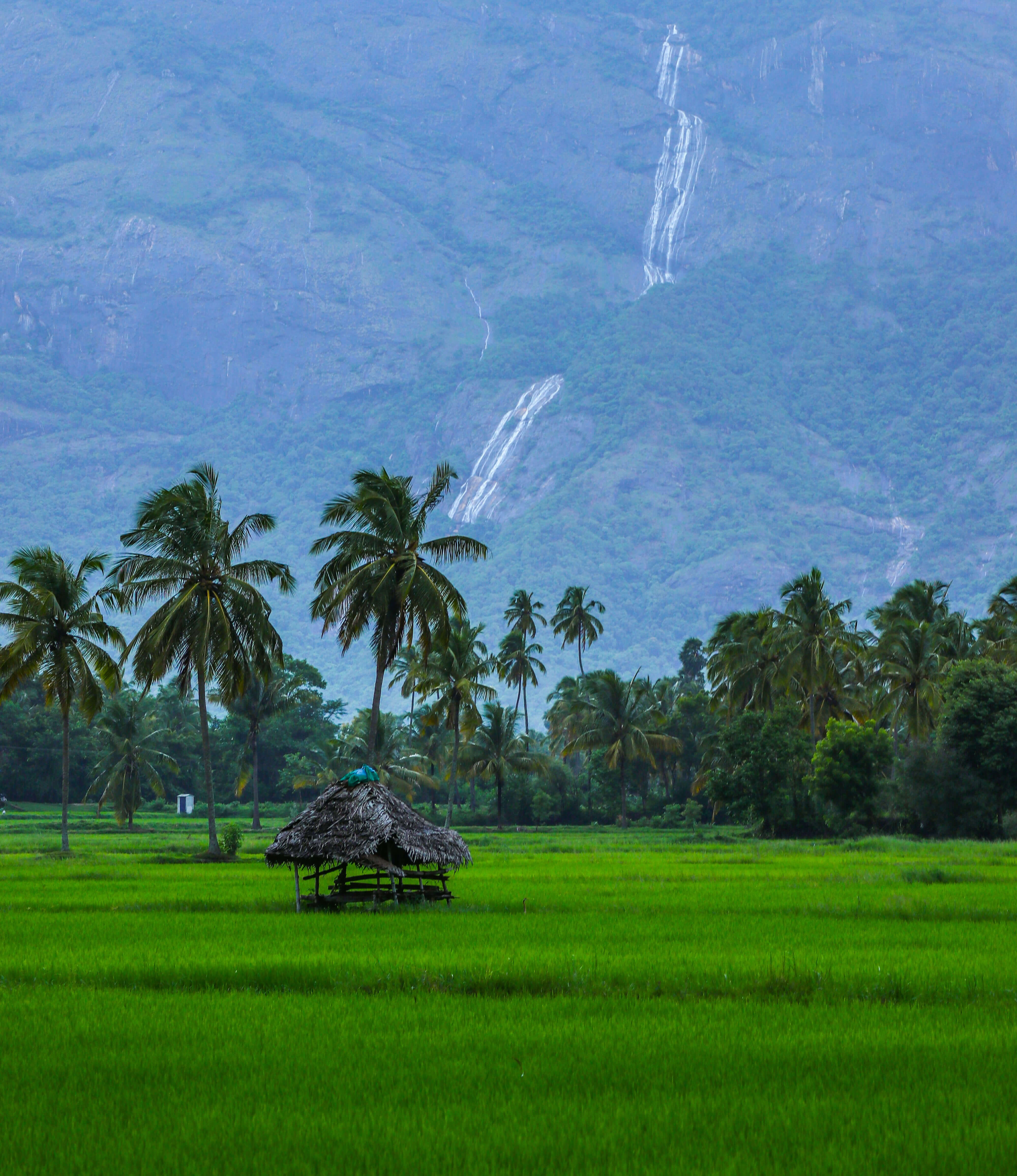 destination image